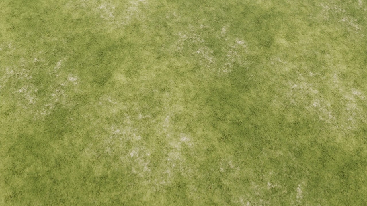 High-Quality Seamless Grass Textures for Design Projects