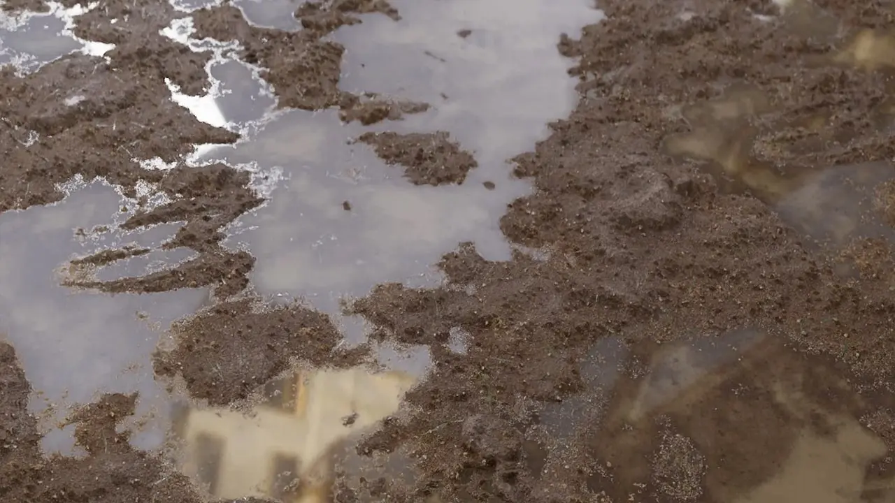 Mud Texture and Soil Texture: Nature's Raw Beauty