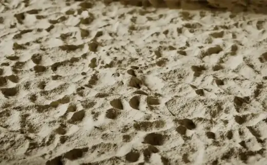 Texture