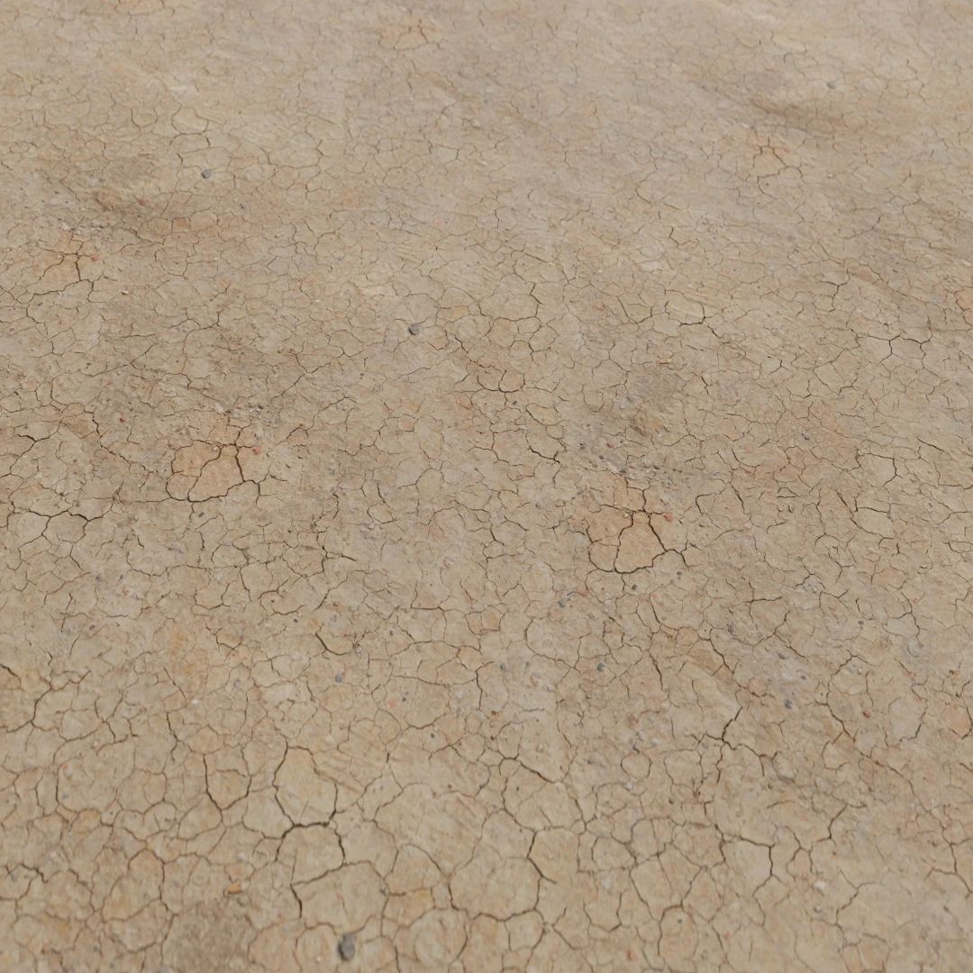 Dry Cracked Mud Texture