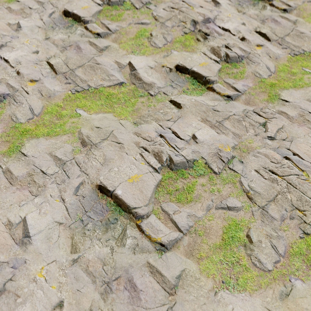 Ground Mossy Rock Texture