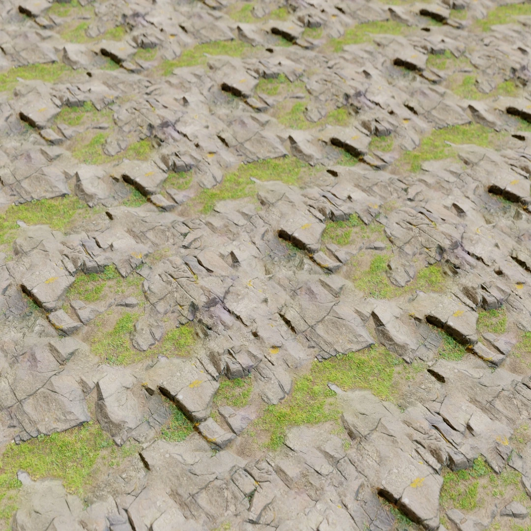 Ground Mossy Rock Texture