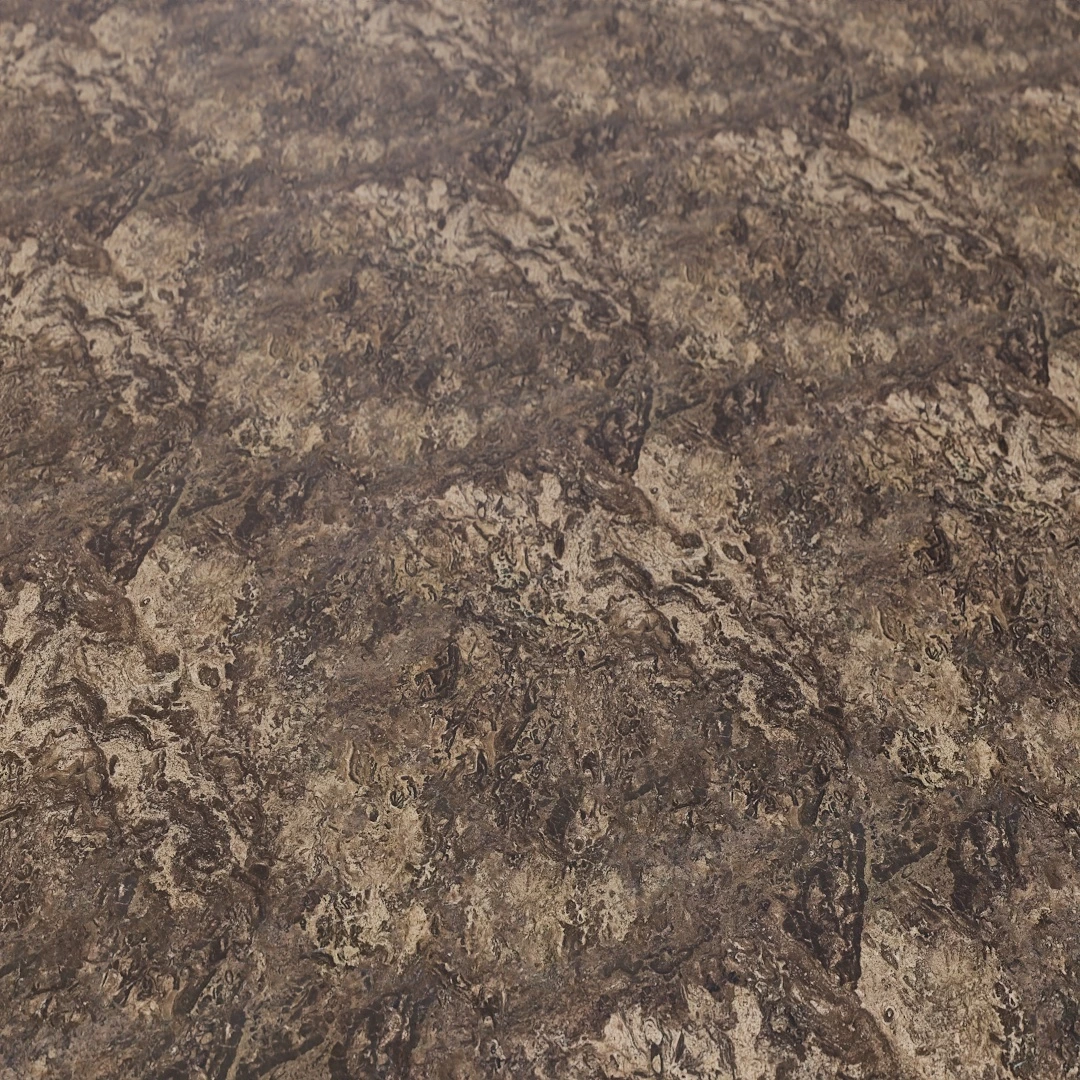 Free Brown Fossil Natural Stone Texture