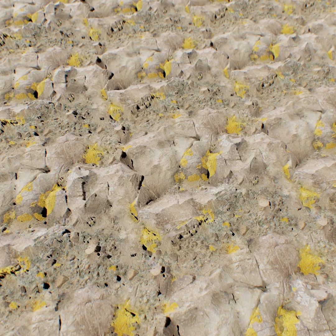 Mossy Volcanic Rock Ground Texture