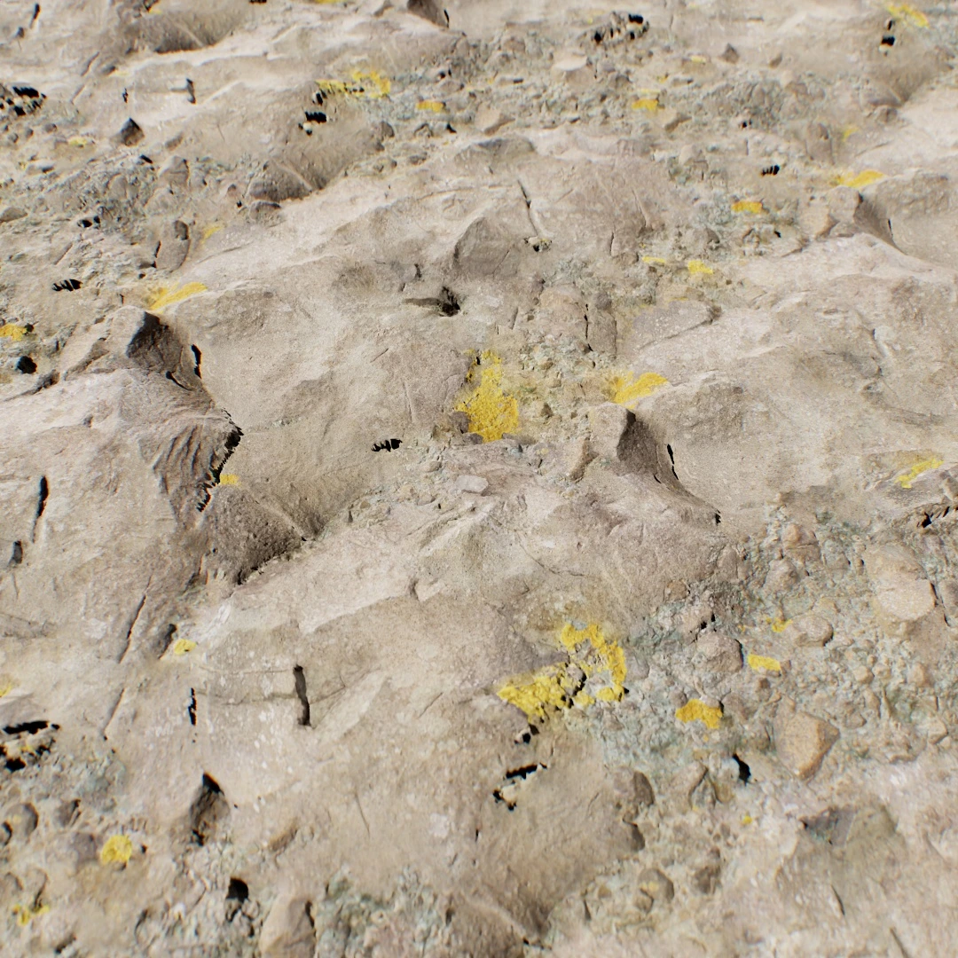 Mossy Volcanic Rock Ground Texture