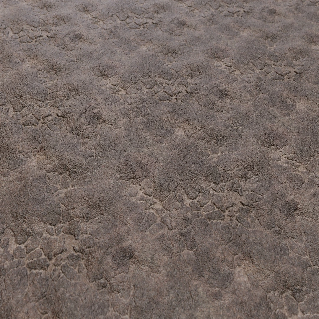 Aged Urban Asphalt Texture