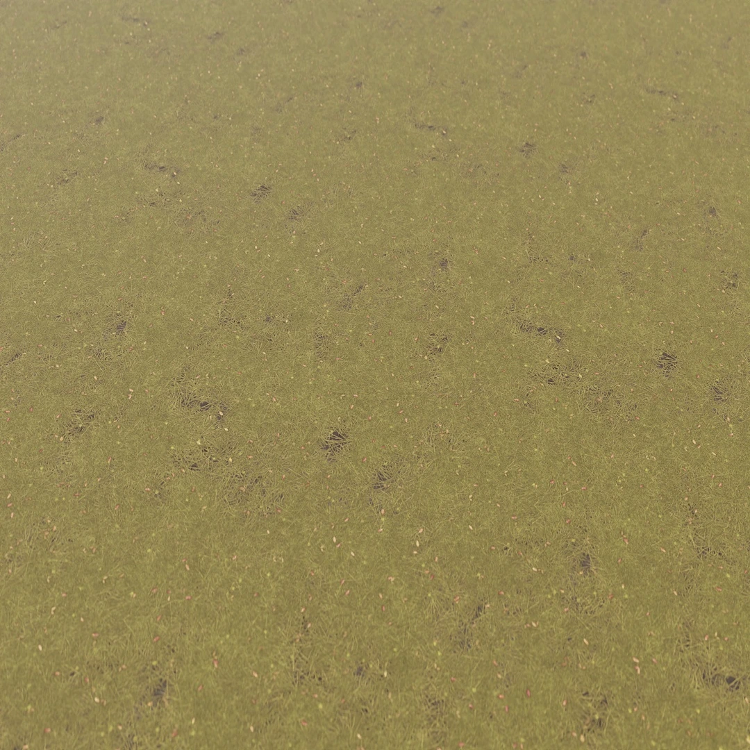 Autumn Leaves Mossy Grass Texture