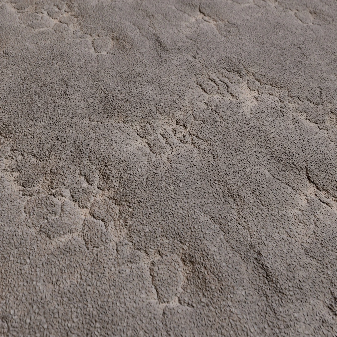 City Street Cracked Asphalt Texture