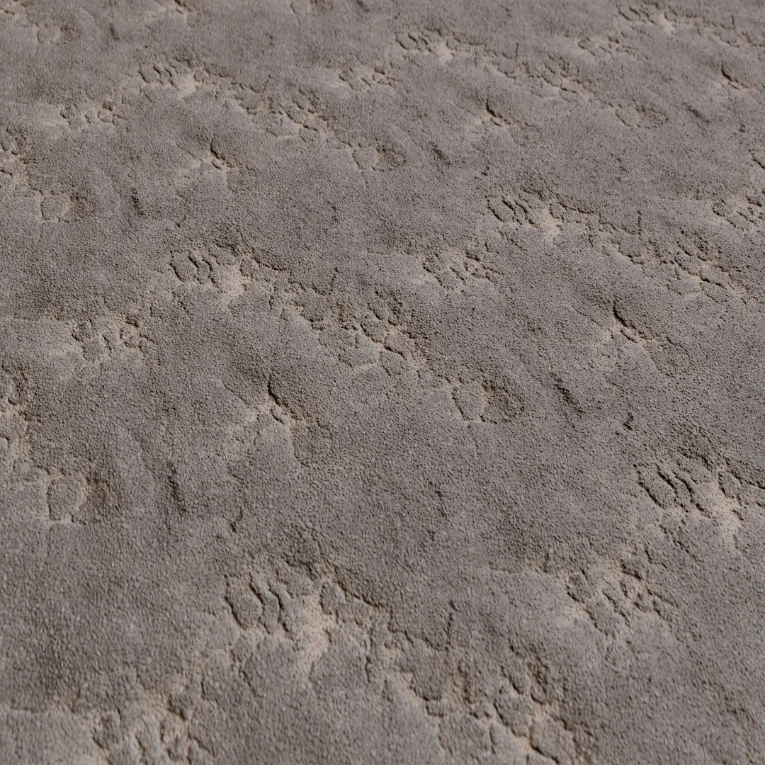 City Street Cracked Asphalt Texture