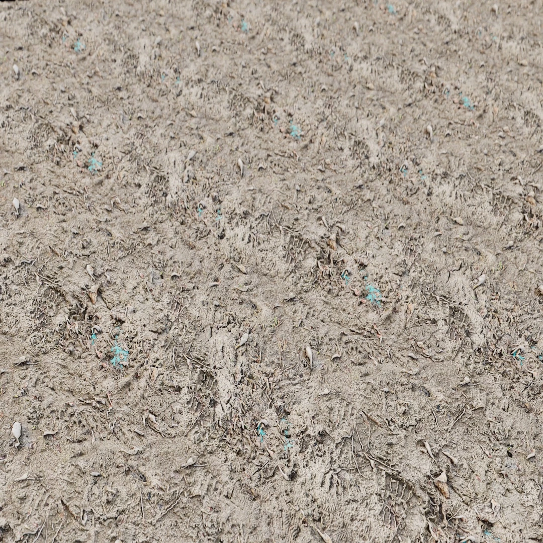 Coarse Cracked Mud Soil Texture