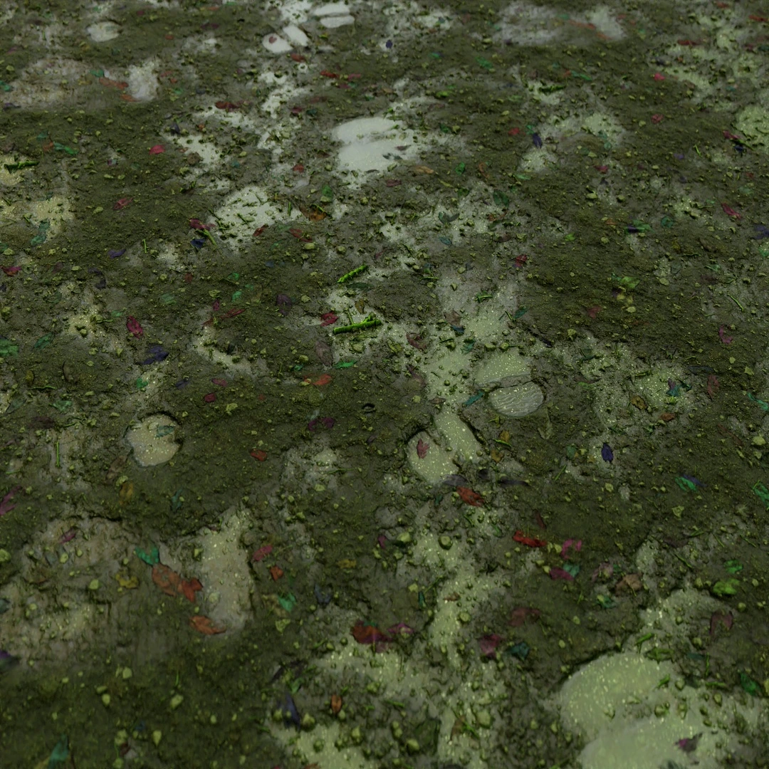 Coarse Wet Mud Footprints Texture