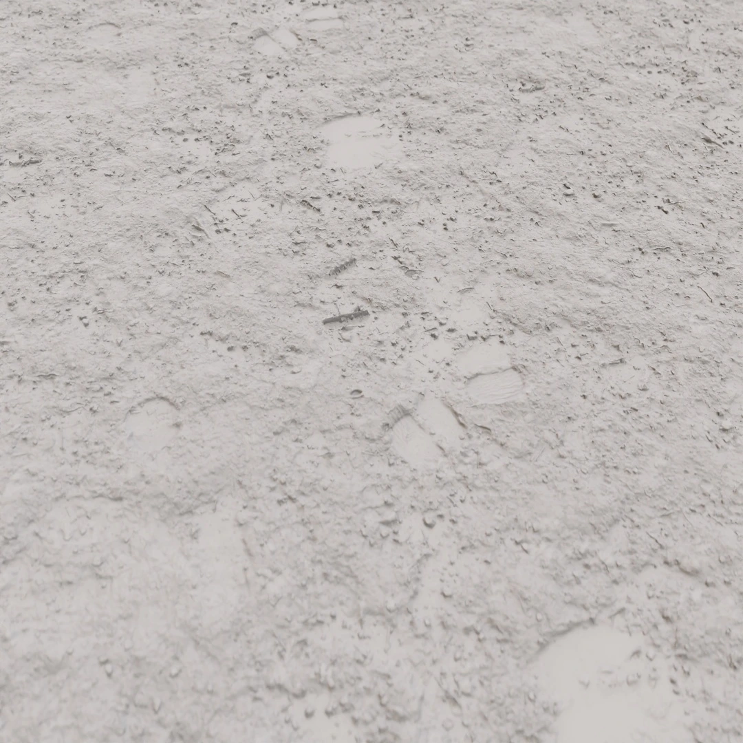 Coarse Wet Mud Footprints Texture