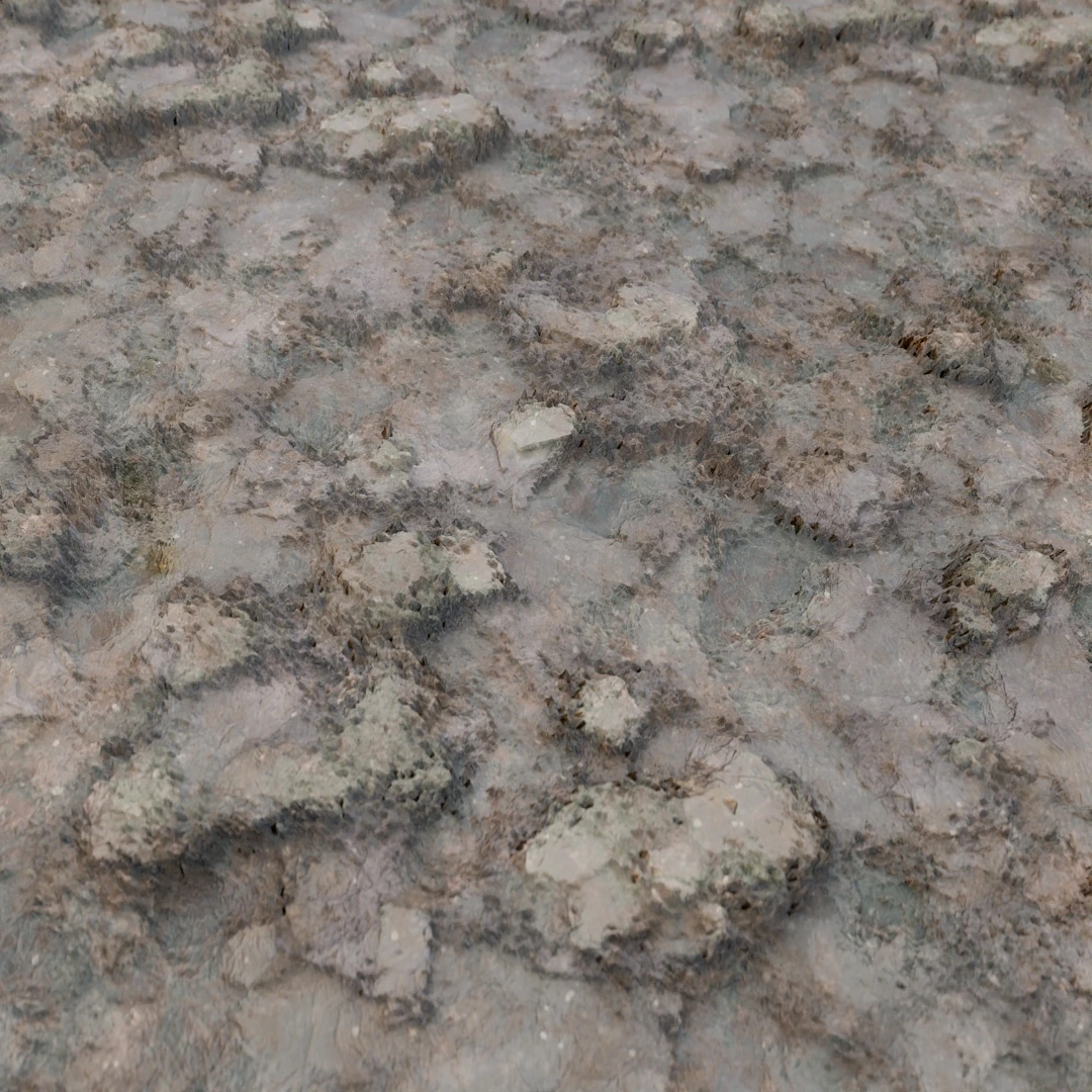 Cracked Coarse Mud Texture