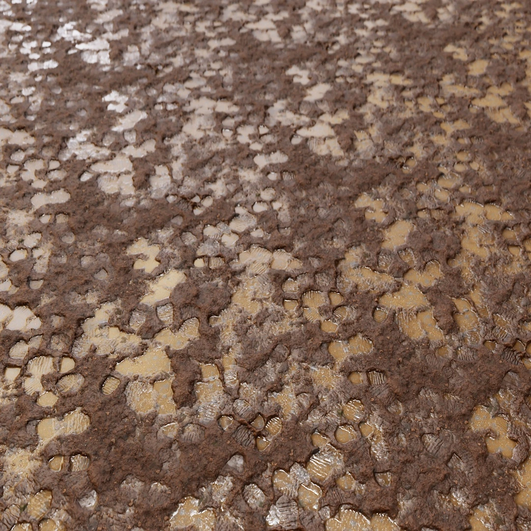 Cracked Mud Footprint Texture