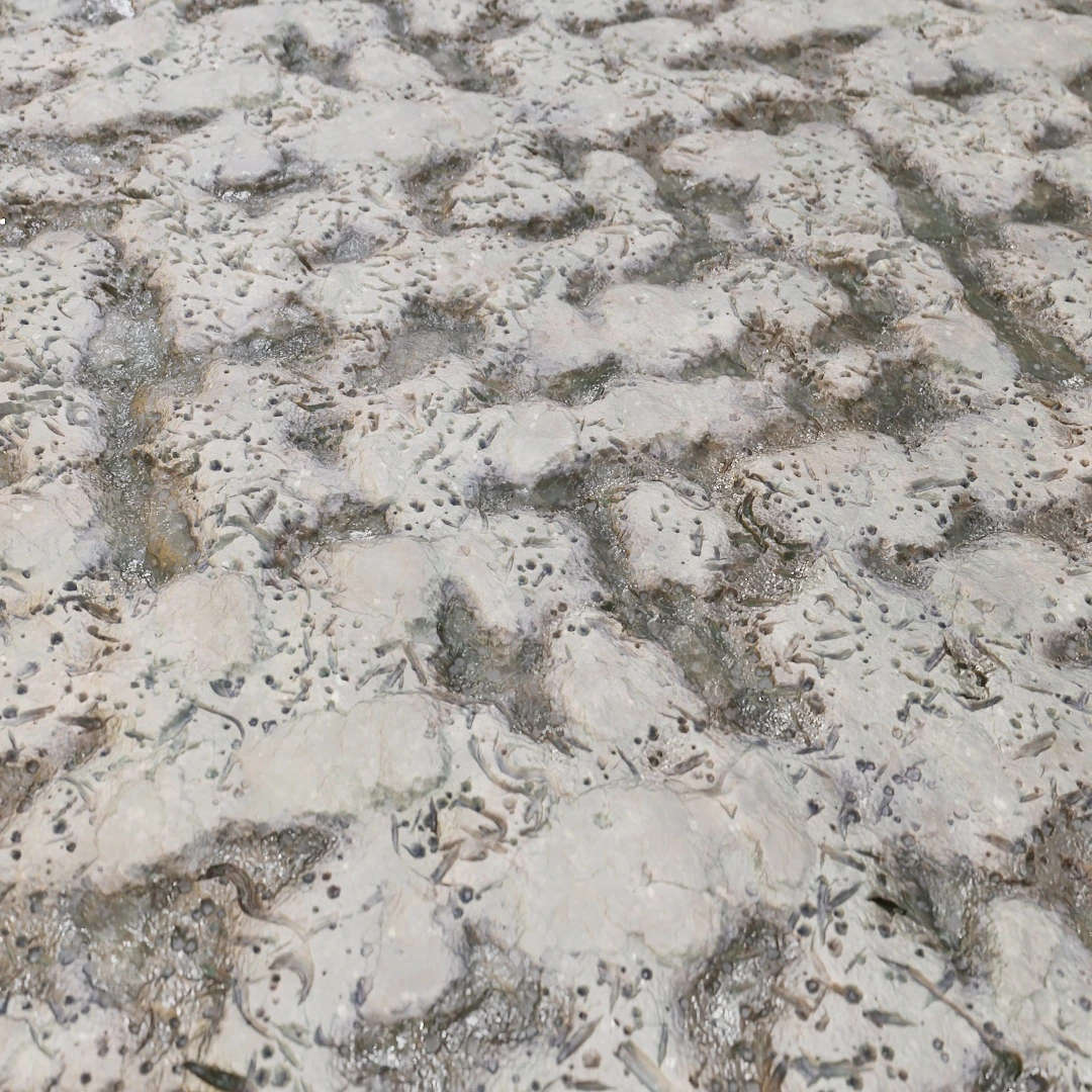 Cracked Wet Mud Soil Texture