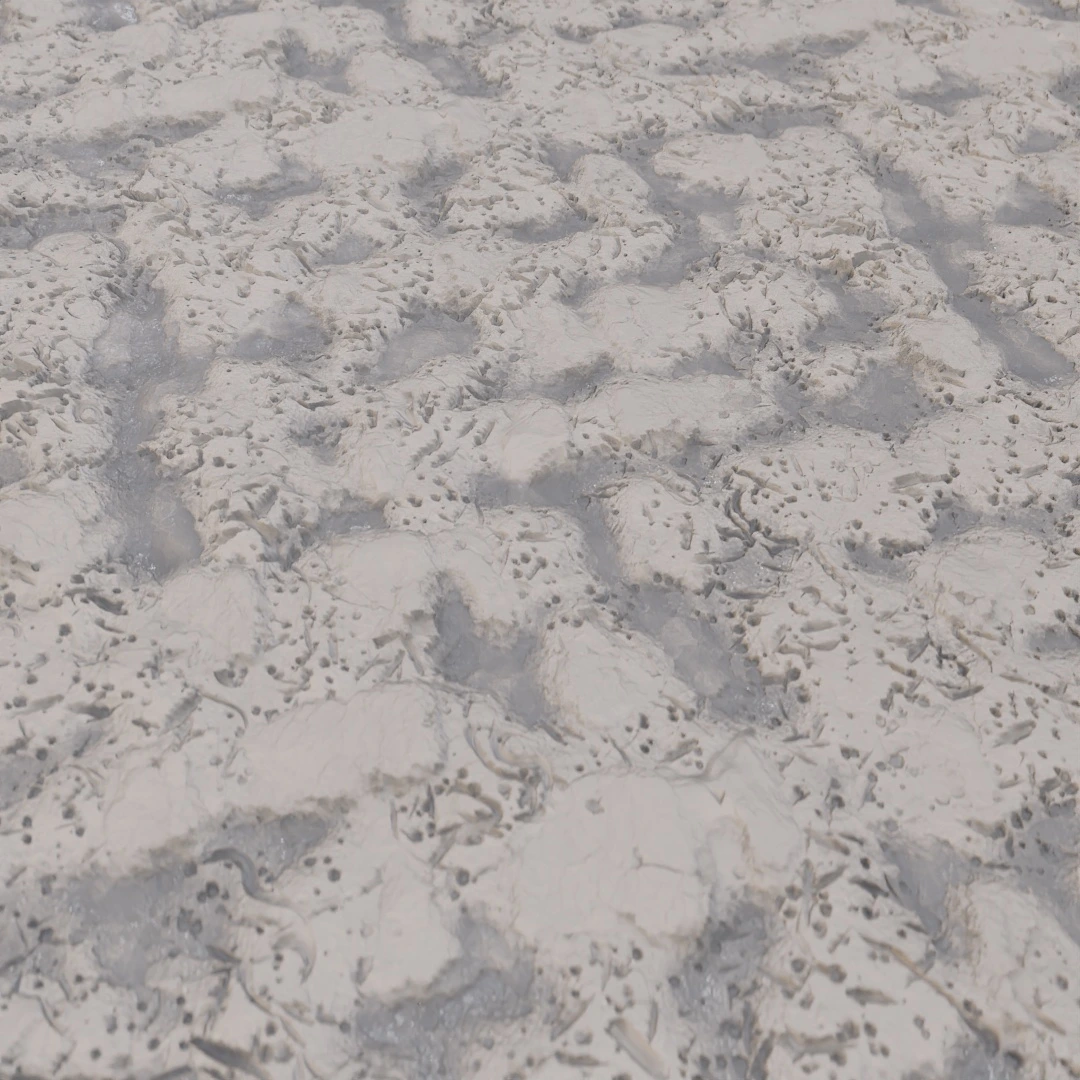 Cracked Wet Mud Soil Texture