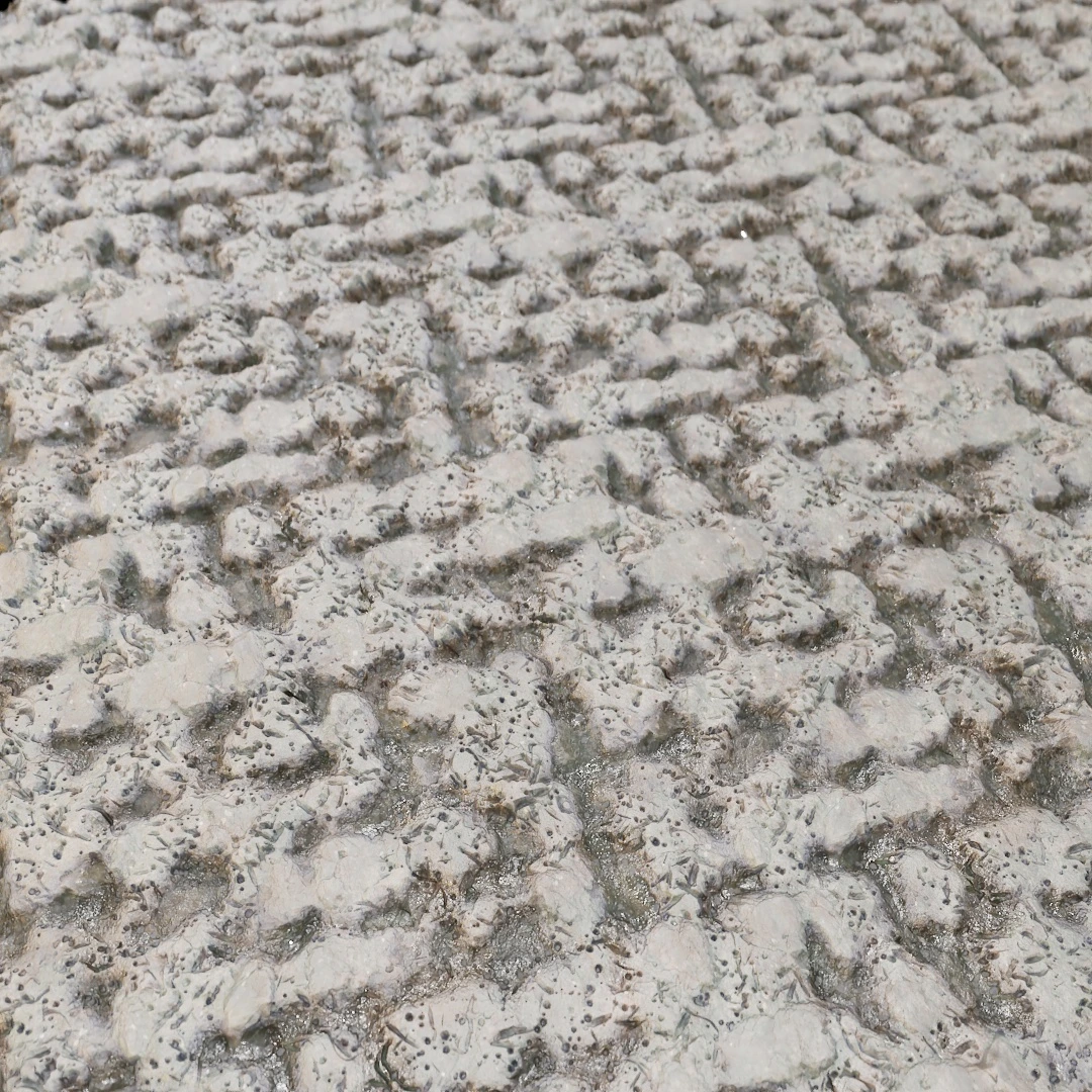 Cracked Wet Mud Soil Texture