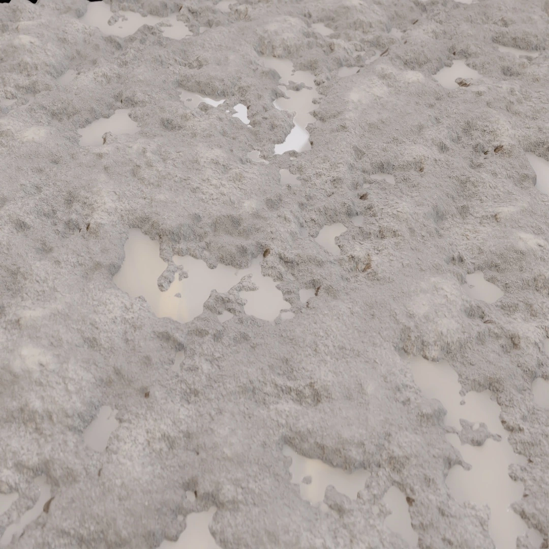 Cracked Wet Mud Texture