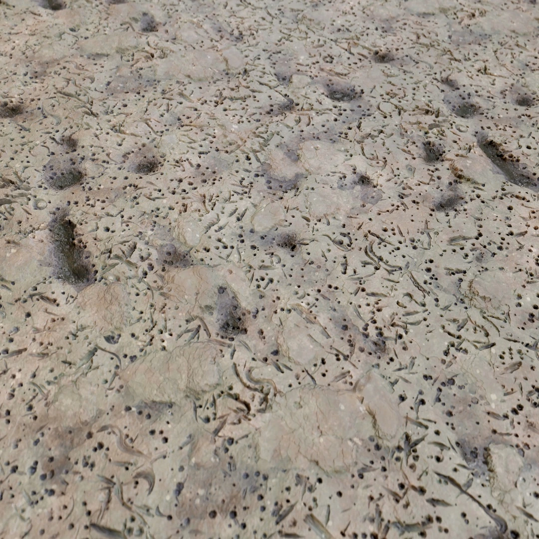 Cracked Wet Mud Texture
