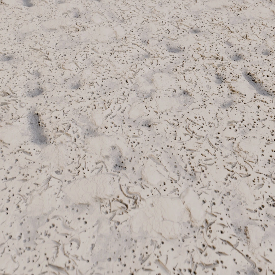 Cracked Wet Mud Texture