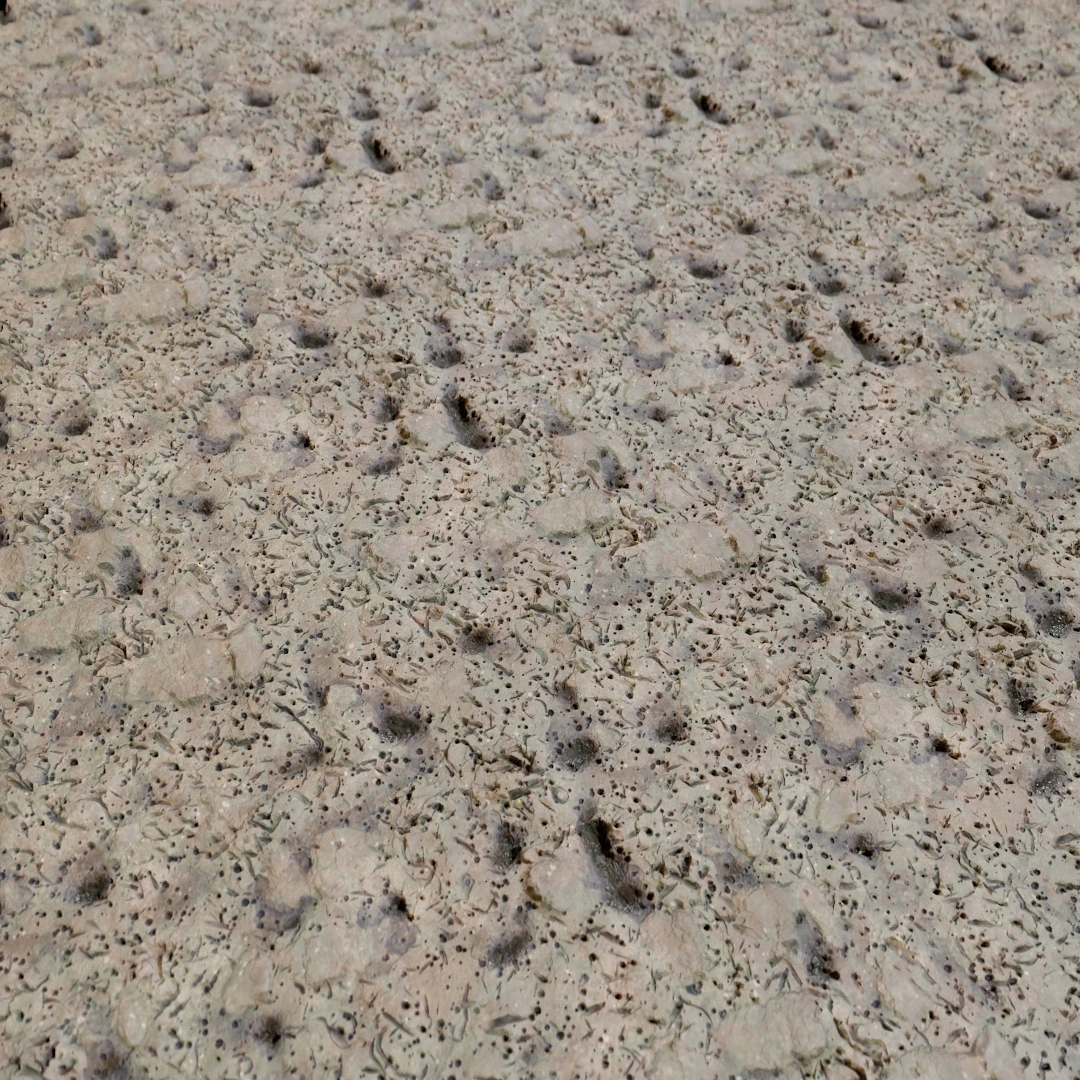 Cracked Wet Mud Texture