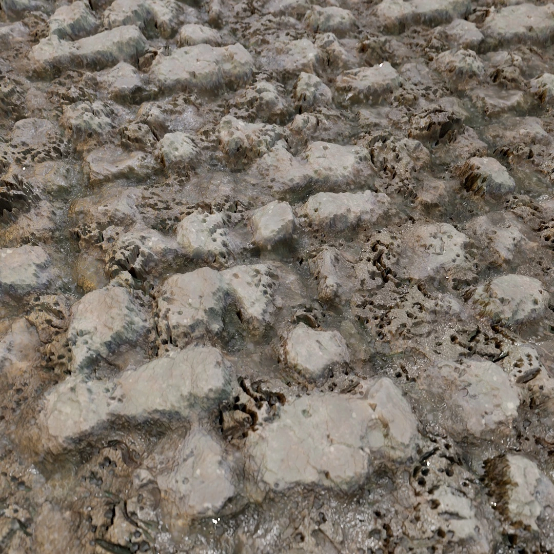 Cracked Wet Mud Texture