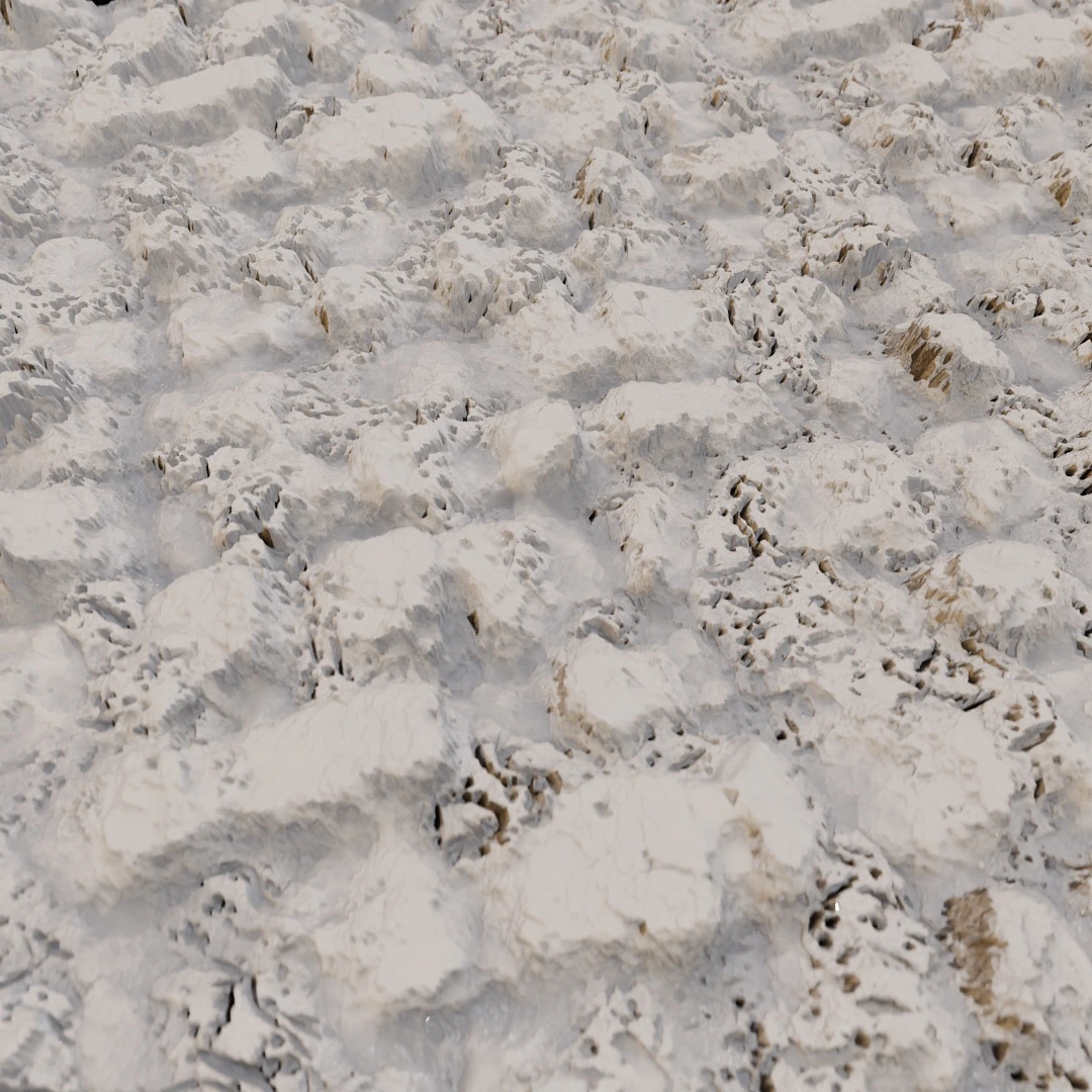 Cracked Wet Mud Texture