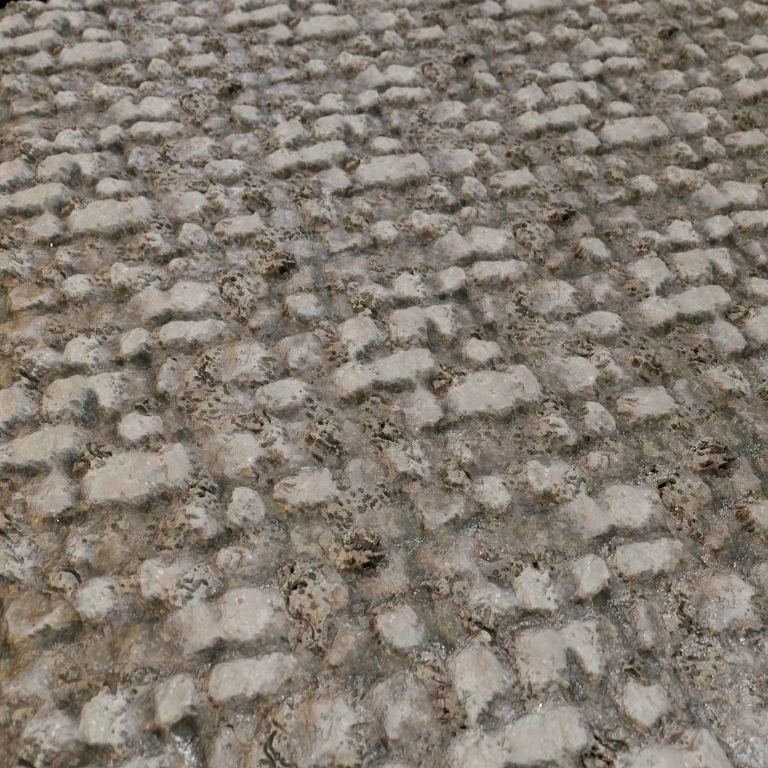 Cracked Wet Mud Texture