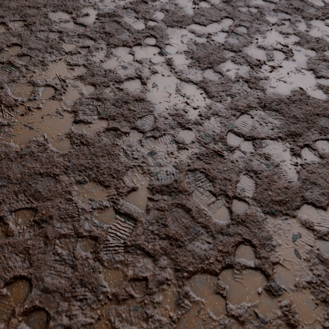 Cracked Wet Mud Texture