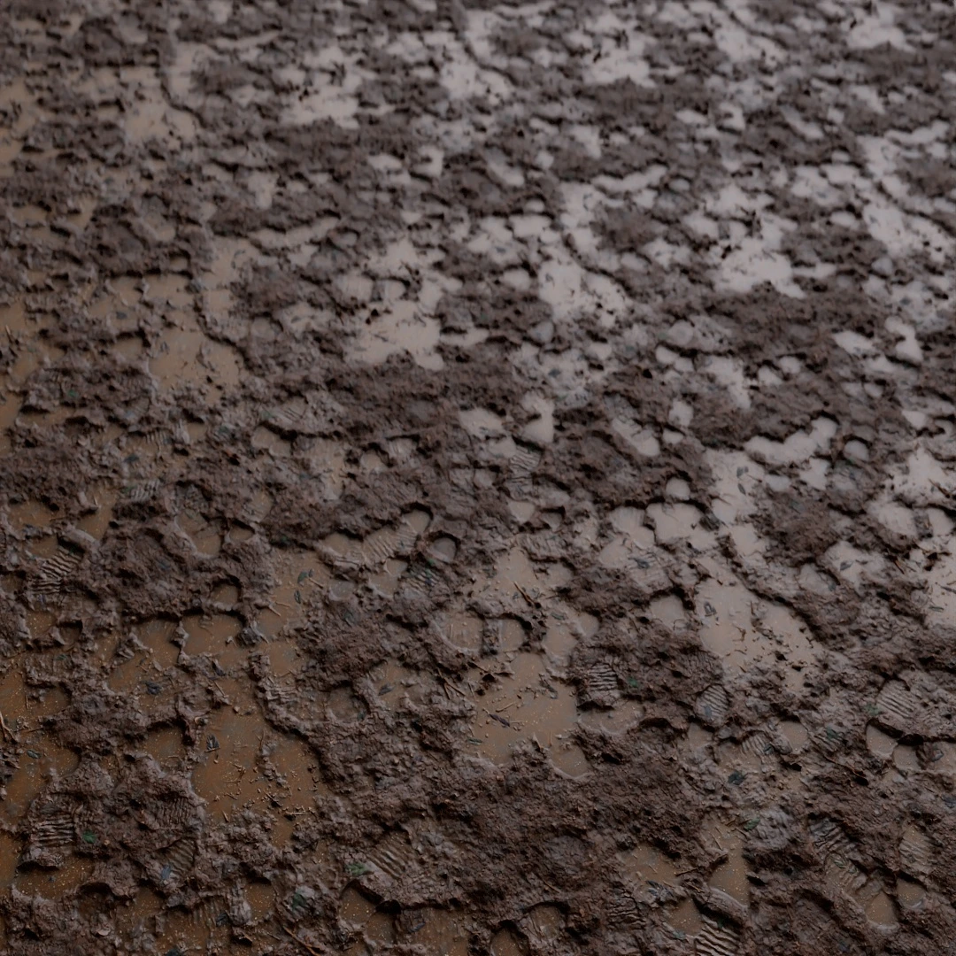 Cracked Wet Mud Texture