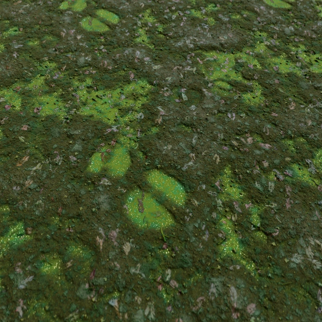Cracked Wet Mud Texture