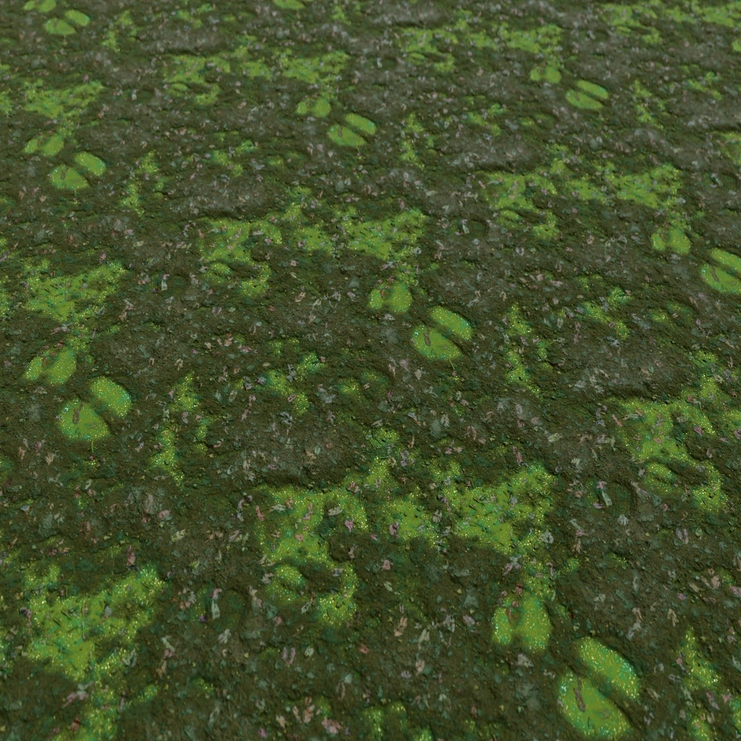 Cracked Wet Mud Texture