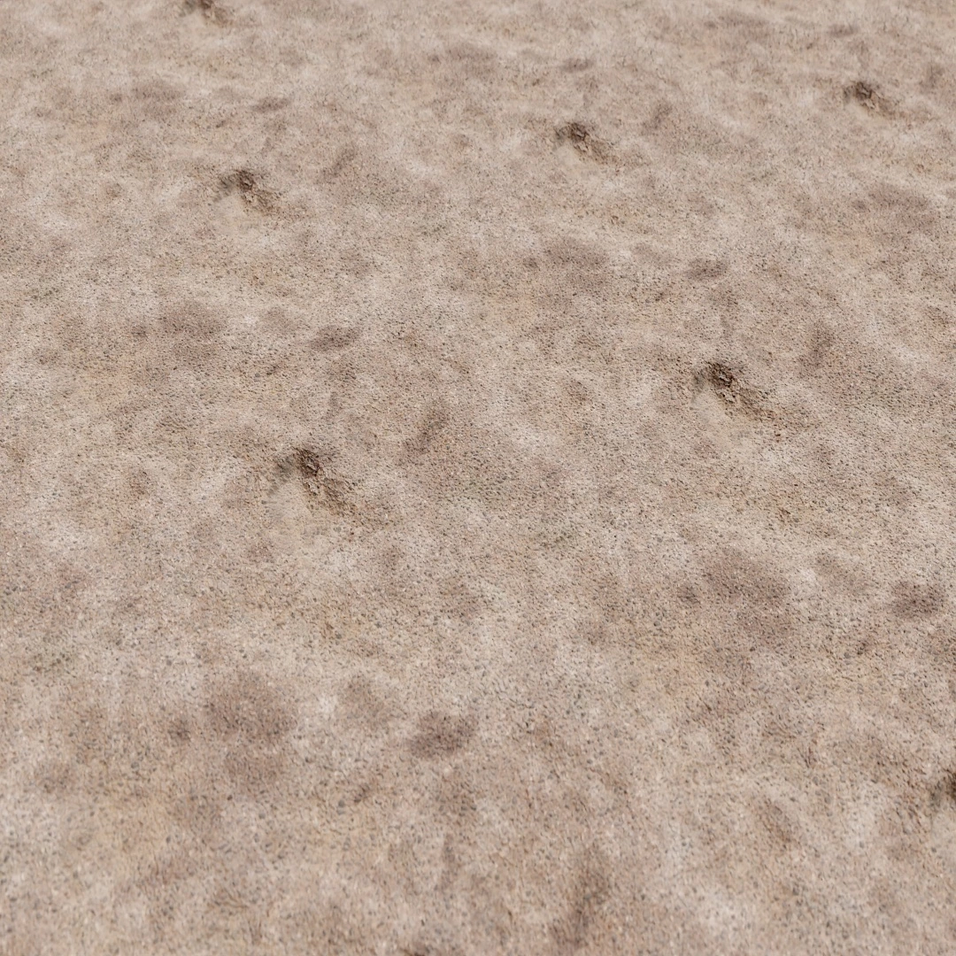 Decay Asphalt Texture
