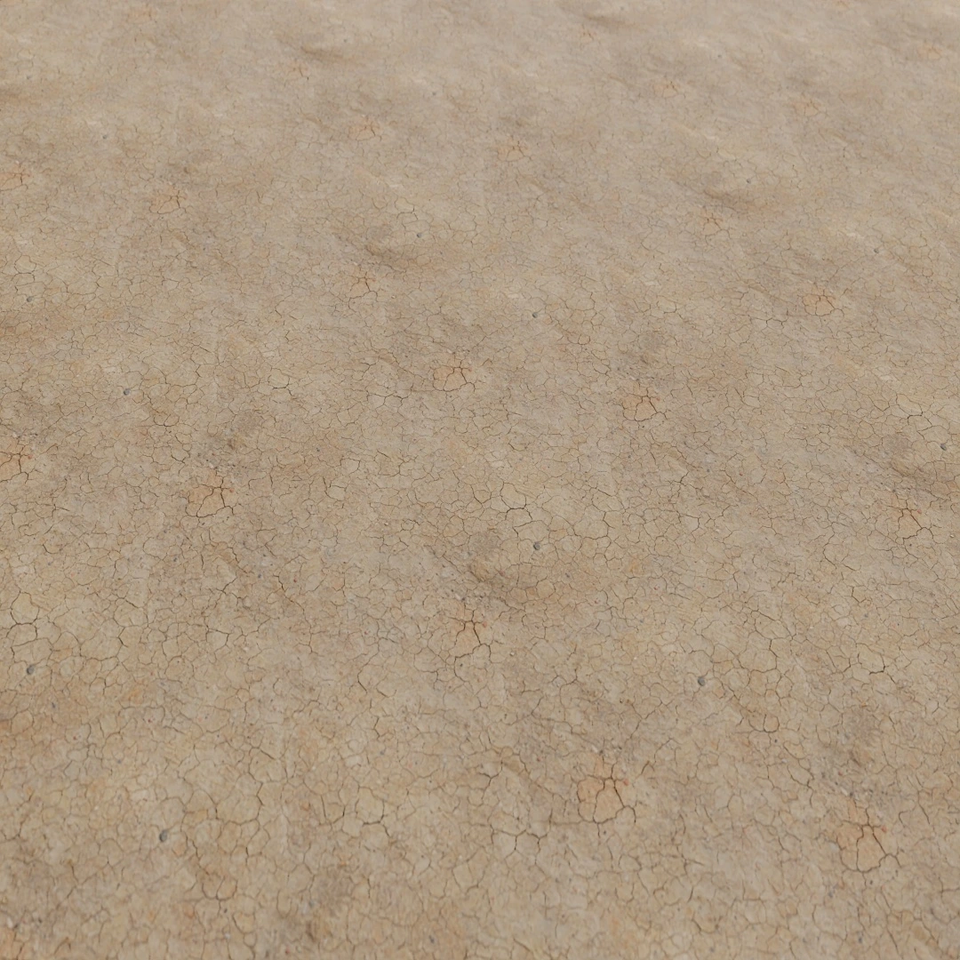 Dry Cracked Mud Texture