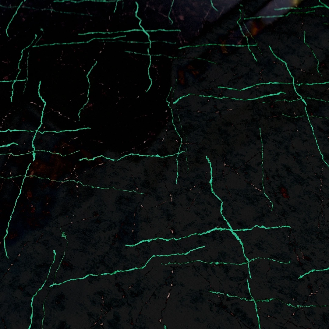 Emerald Spidered Nero Marble Texture