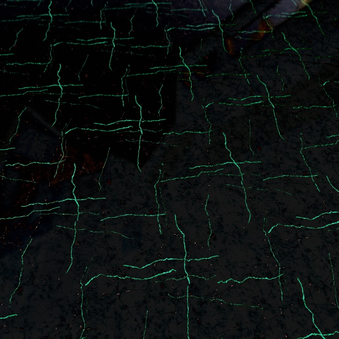 Emerald Spidered Nero Marble Texture