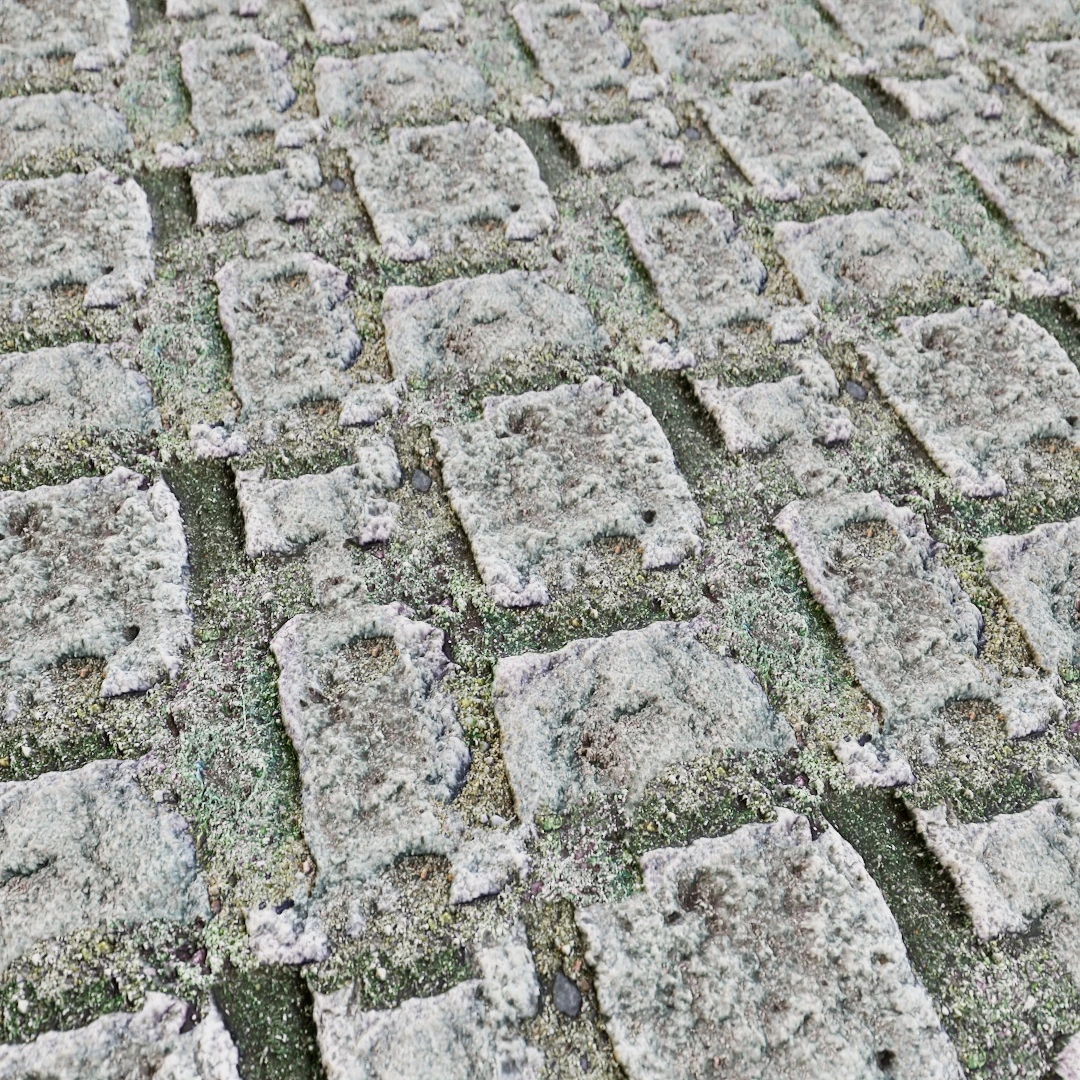 Free Aged Cobblestone Moss Texture