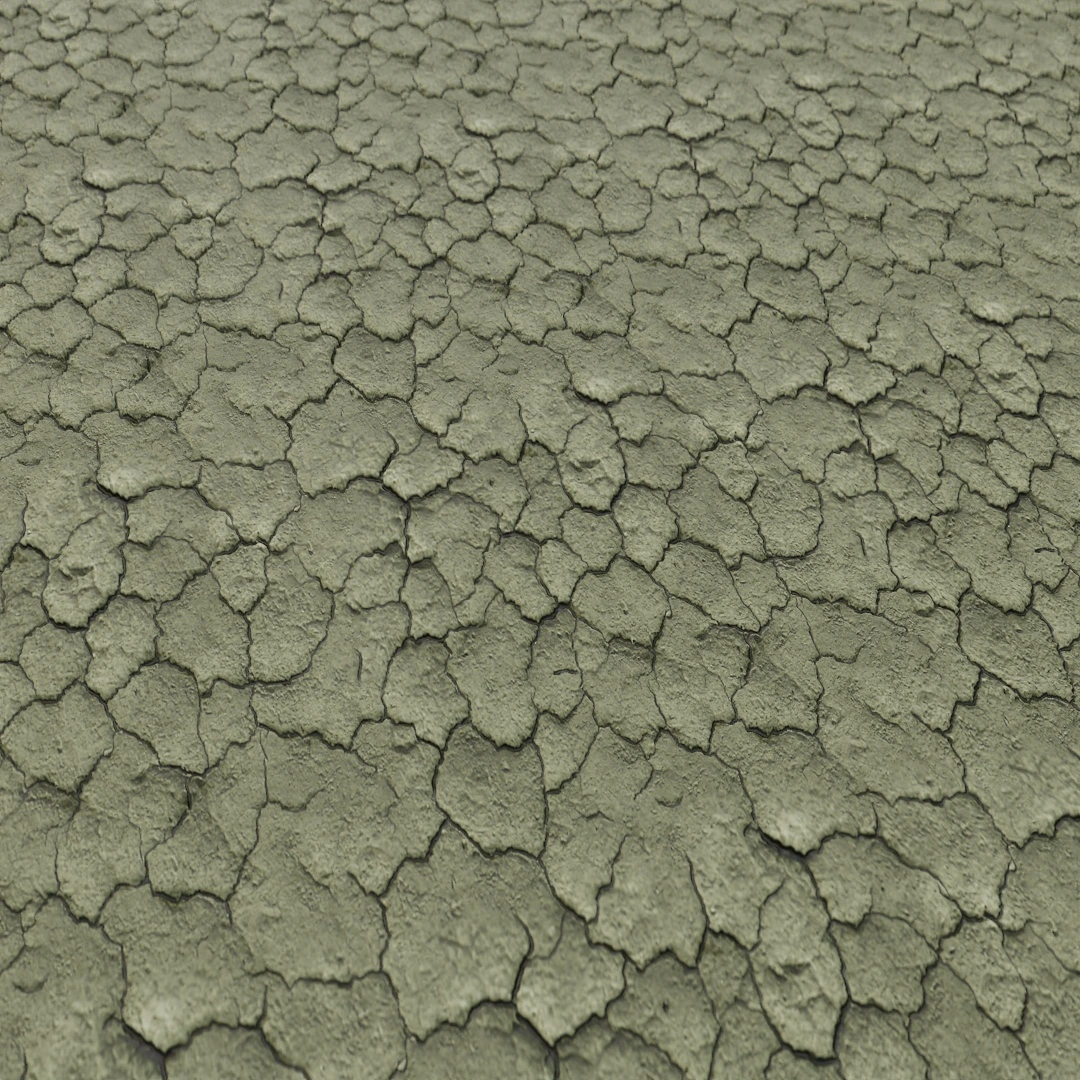 Free Arid Cracked Earth Texture