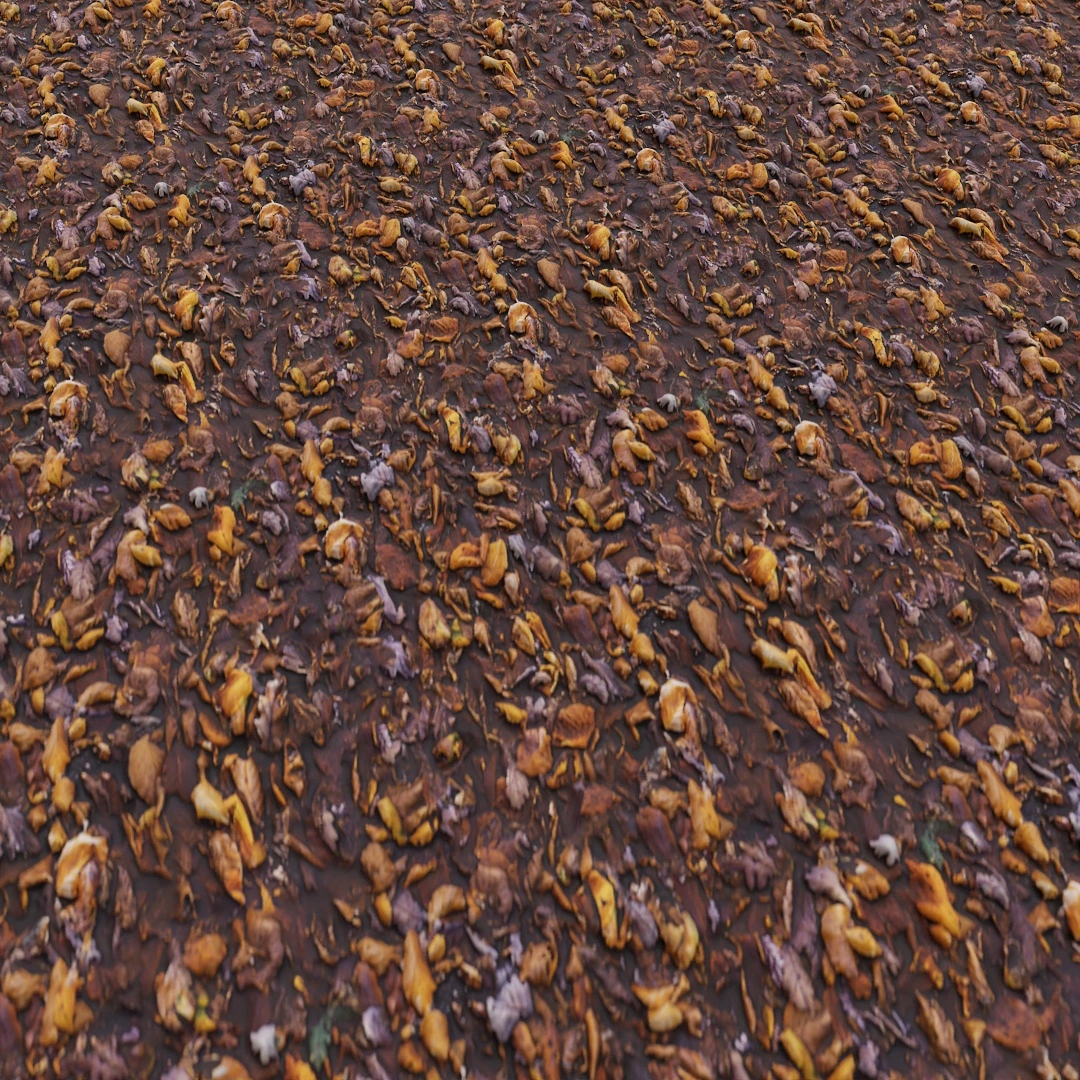 Free Autumn Leaf Covered Forest Floor Texture