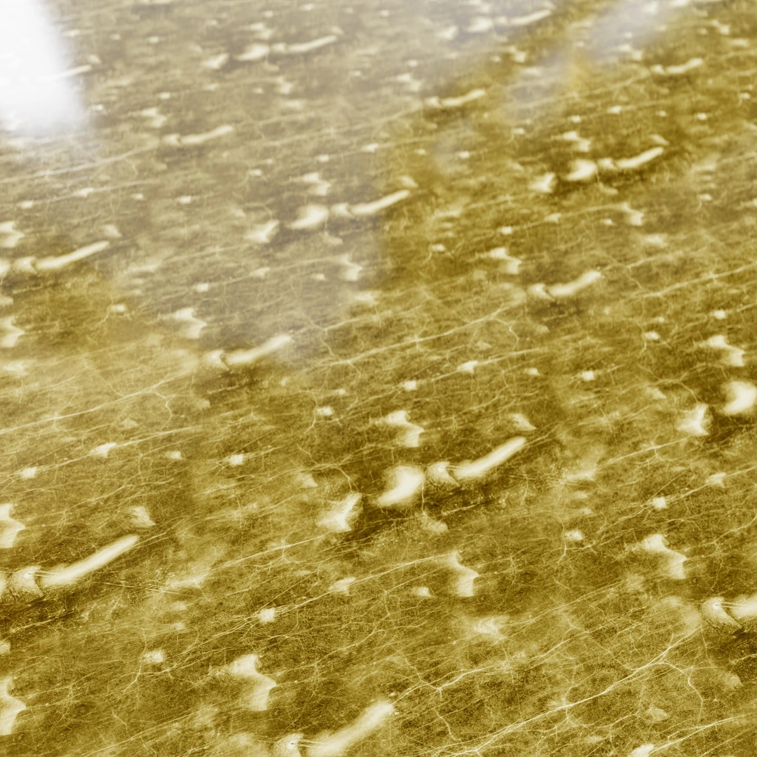 Free Calacatta Gold Vein Marble Texture