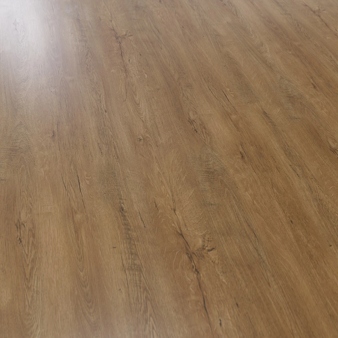 Free Caucasian Oak Wood Texture