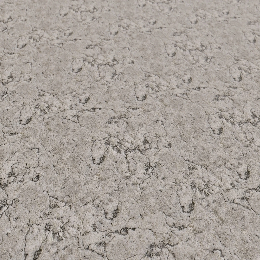 Free Old Rough Concrete Texture