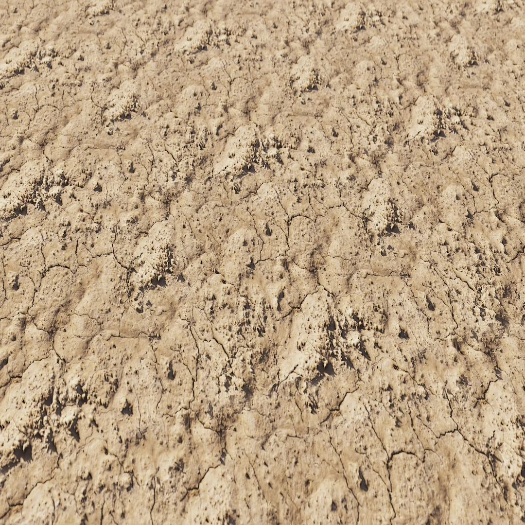 Free Rough Cracked Earth Texture