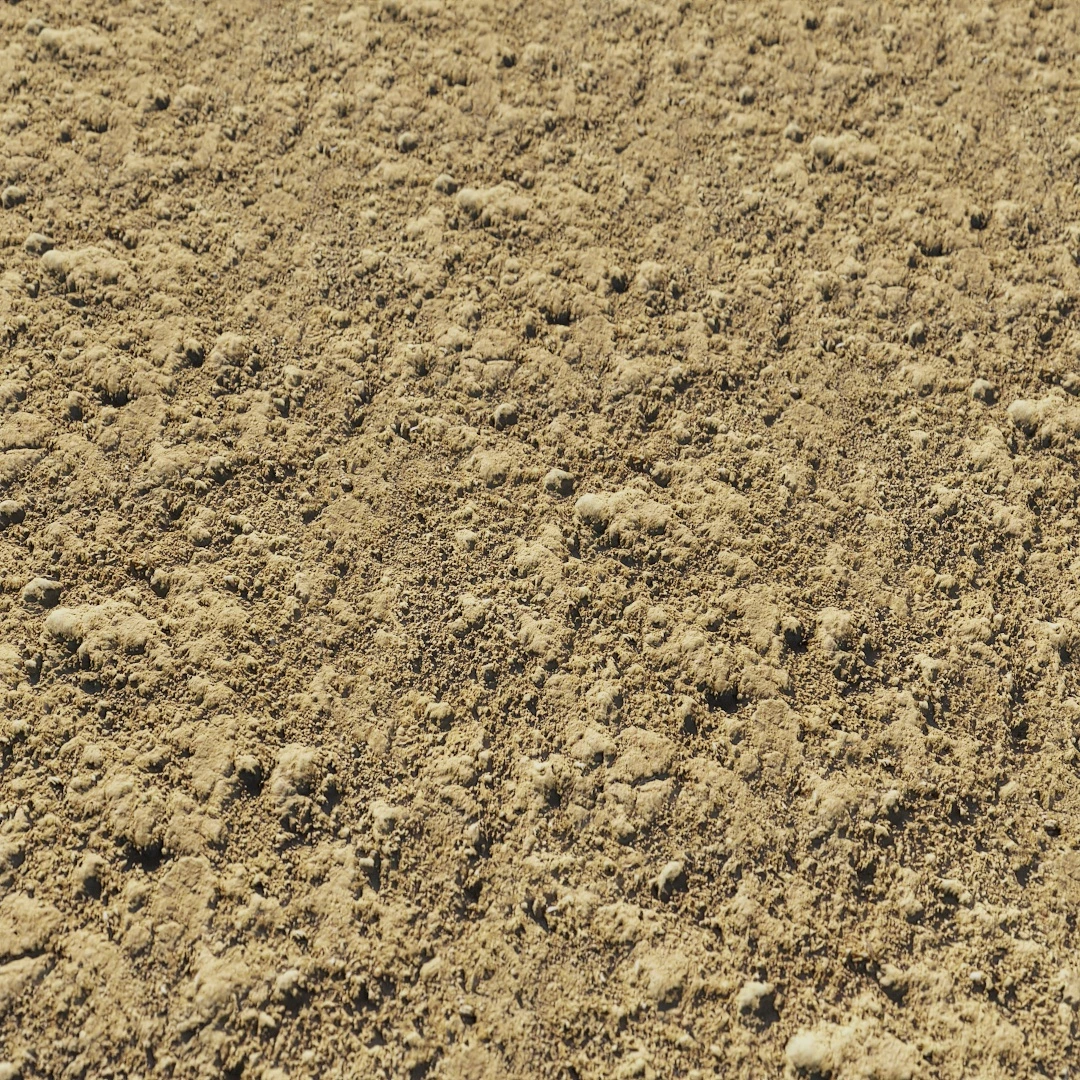 Free Rough Dry Mud Soil Texture