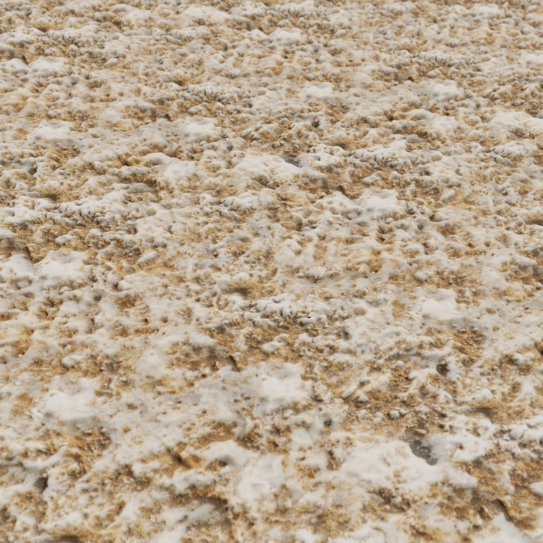 Free Rough Melting Dirty Snow Texture