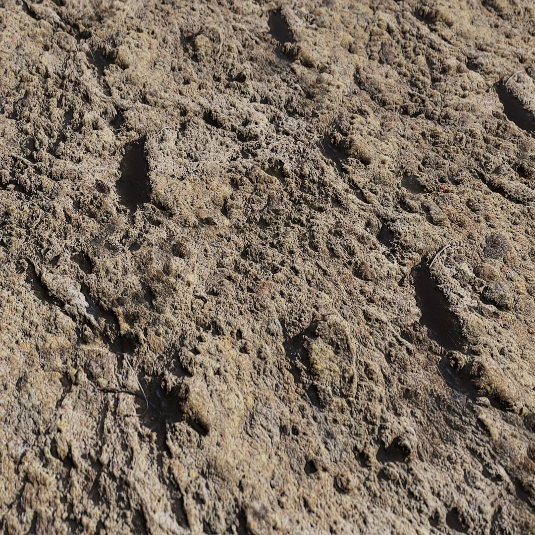 Free Rugged Natural Stone Texture