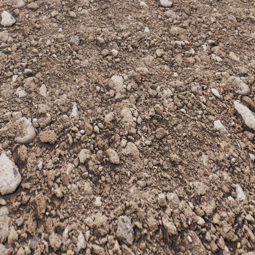 Free Scattered Coarse Pebble Texture