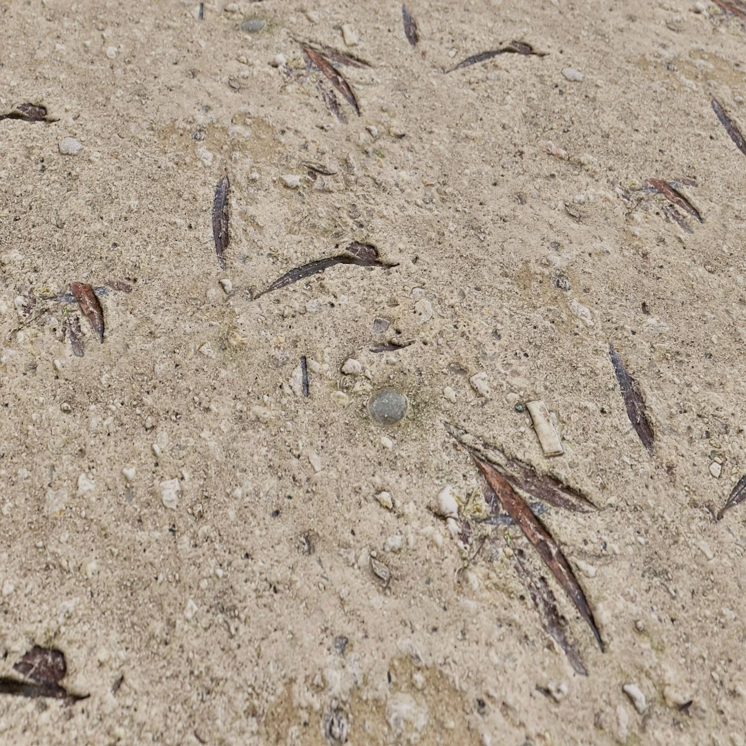 Free Scattered Pebbles Dirt Texture