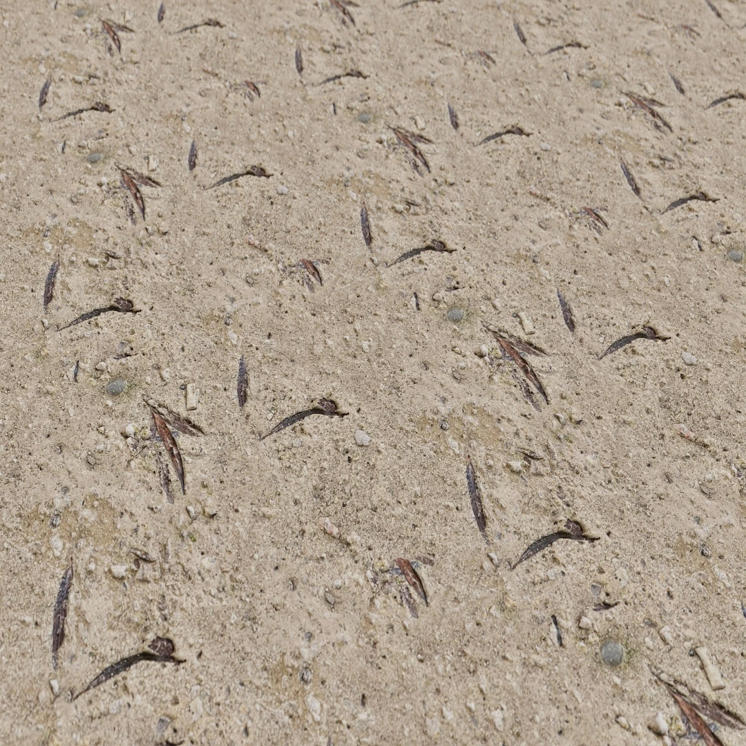 Free Scattered Pebbles Dirt Texture