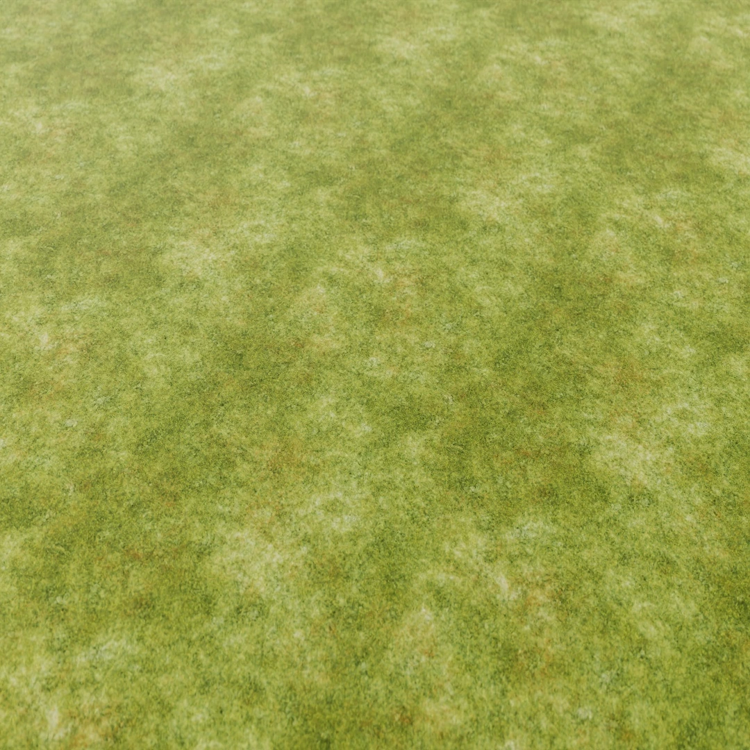 Fresh Green Grass Texture